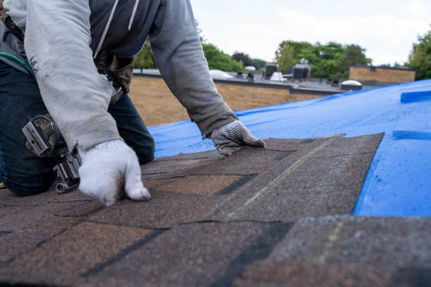 Best Commercial Roofing Services  in Pottsville, AR