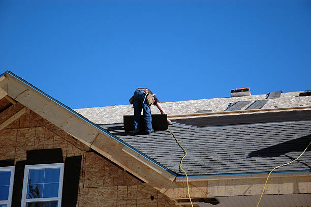Best Roof Gutter Cleaning  in Pottsville, AR
