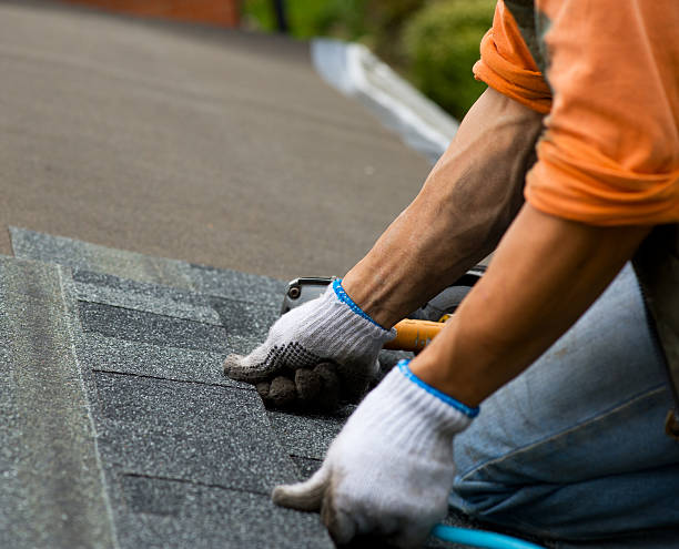 Best Roof Leak Repair  in Pottsville, AR