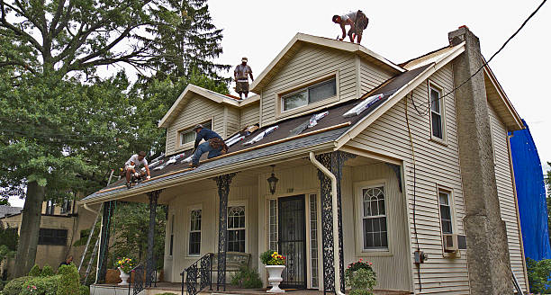 Best Local Roofing Companies  in Pottsville, AR